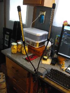 USP CONECTION, CLIP ON LIGHTS, COLOR AJUSTING AND BRITNESS AJUST