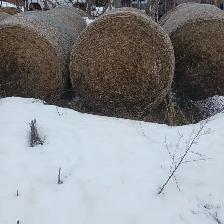 Hay bales - Photo 2