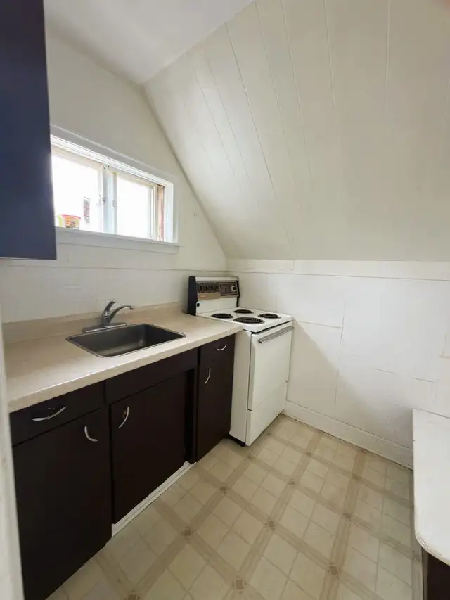 433 George St, unit 2, Bachelor(1bath1kt 1F)South, Heat included - Photo 2