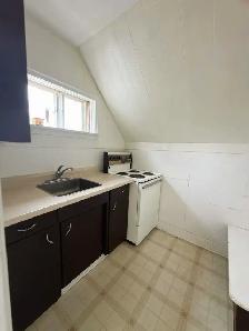 433 George St, unit 2, Bachelor(1bath1kt 1F)South, Heat included - Photo 2