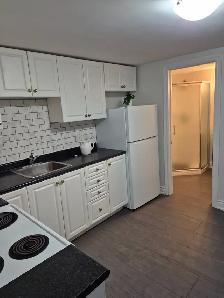 Beautifully renovated apartment