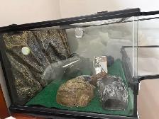 Exotera 20g Reptile Terrarium - Photo 3
