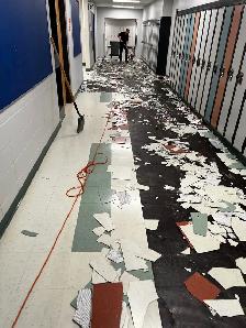 !Proffesional Flooring Installation! - Photo 7