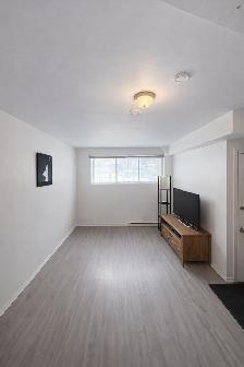 3 ½ à louer – 1150 $ / mois – Mercier - Hochelaga-Maisonneuve - Photo 4