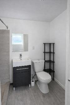 3 ½ à louer – 1150 $ / mois – Mercier - Hochelaga-Maisonneuve - Photo 6