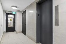 2 Bedroom Apartment for Rent - 7170 Darcel Ave - Photo 17