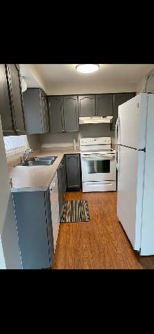 Fully Detached SW Barrie House for Rent - Photo 5