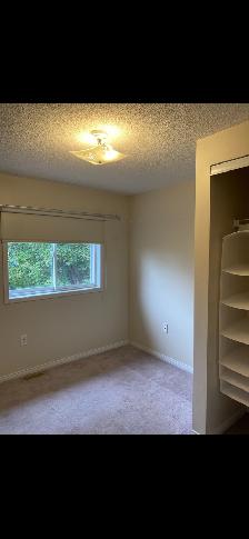 Fully Detached SW Barrie House for Rent - Photo 8