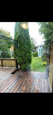 Fully Detached SW Barrie House for Rent - Photo 10