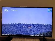 LG TV 4K smart - Photo 4