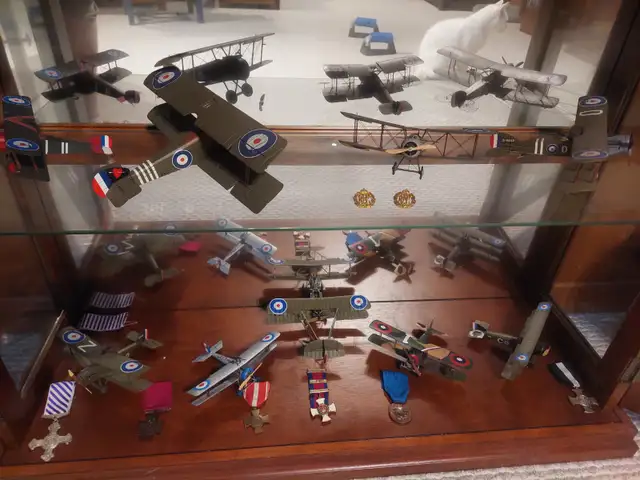 WWI Aviation Medal Groups and Pro Built Model Displays - Photo 5