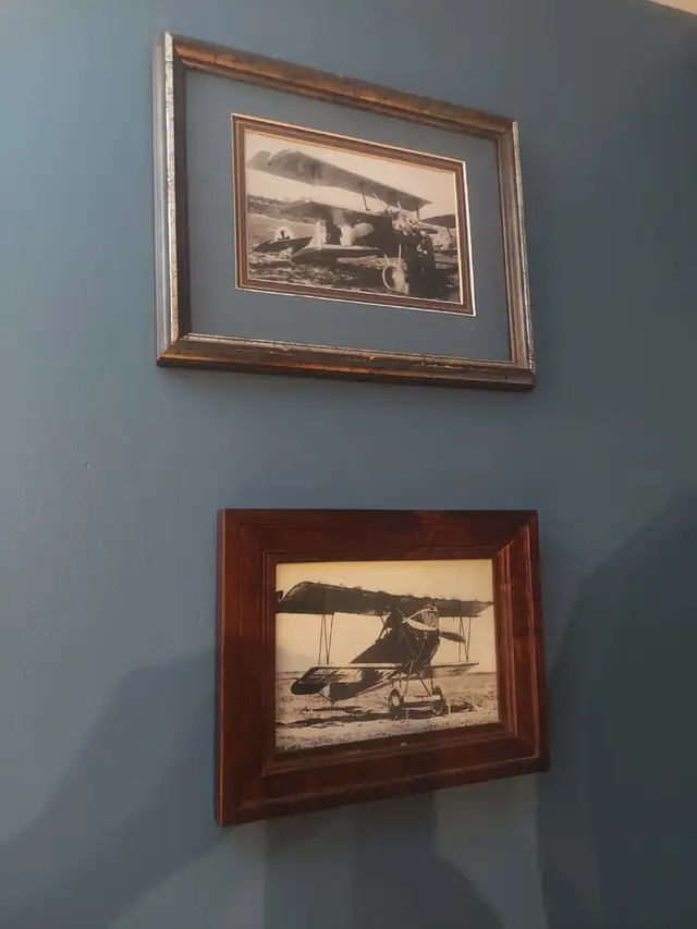 WWI Aviation Medal Groups and Pro Built Model Displays - Photo 7