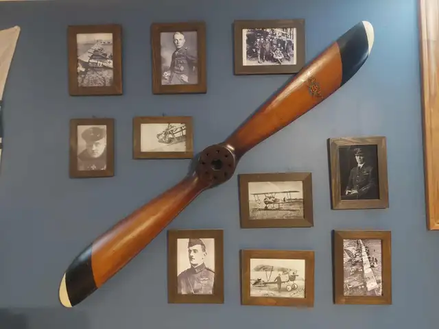 WWI Aviation Medal Groups and Pro Built Model Displays - Photo 8