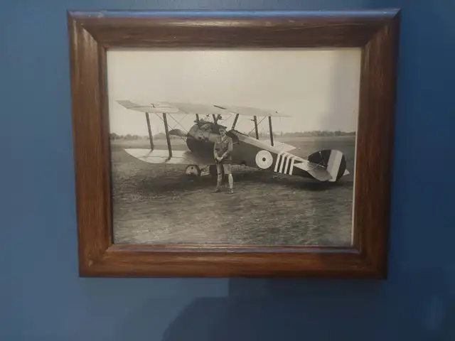 WWI Aviation Medal Groups and Pro Built Model Displays - Photo 10