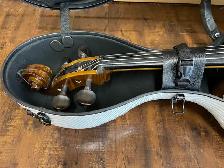 Carbon Fiber Cello Case 4/4 Full Size White 7.9 lb Wheels - Photo 10