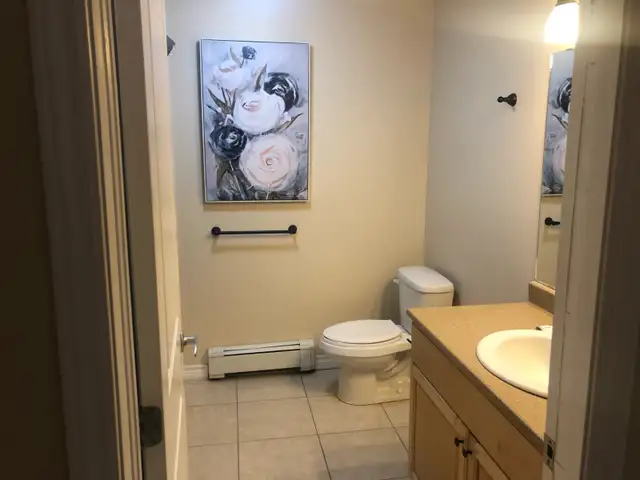 1 bed 1 bath beautiful apartment. May, Clean and quiet building - Photo 6