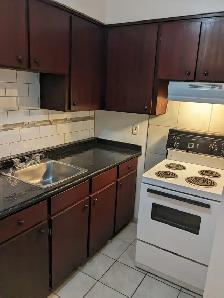 Downtown. One Bedroom Apt. All incl. utils. $1,125