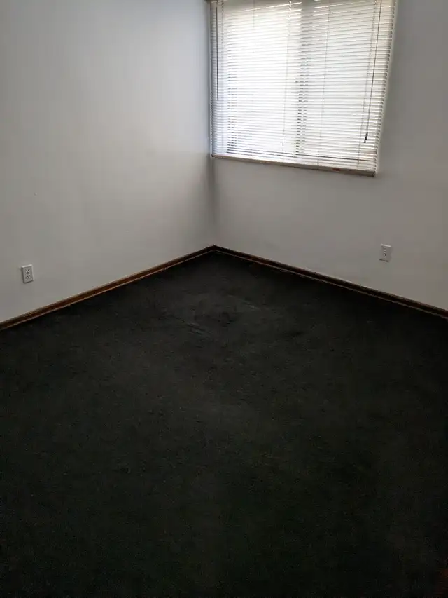 Downtown. One Bedroom Apt. All incl. utils. $1,125 - Photo 5