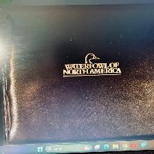 DUCKS UNLIMITED Waterfowl of North AmericaA magnificent oblong