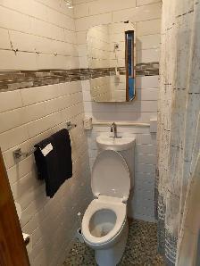 ALL INCLUSIVE RENTAL/FURNISHED Studio - Queen's & Downtown - Photo 7