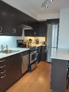 High-End Furnished Condo for Rent - Photo 5