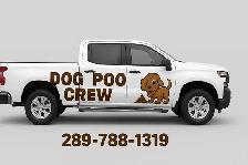 Attention  Niagara Dog Owners - Photo 3