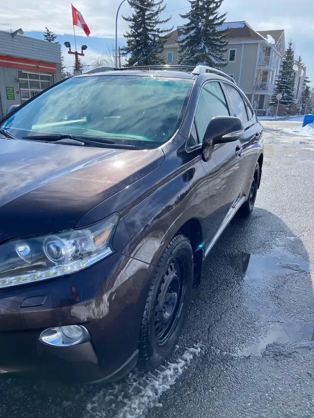 2014 Lexus RX 350 - Photo 5