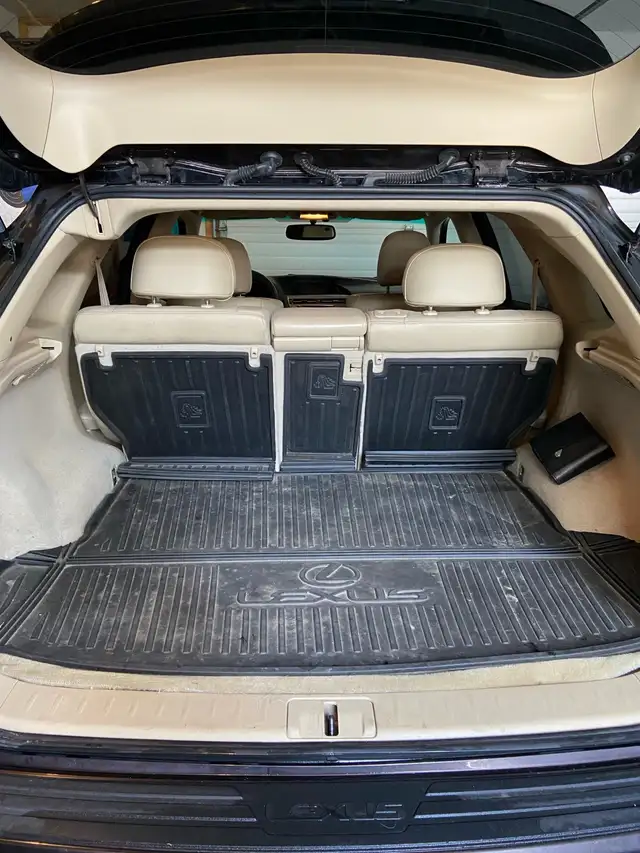 2014 Lexus RX 350 - Photo 9