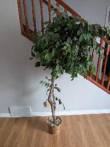 Tall Artificial Tree For Sale