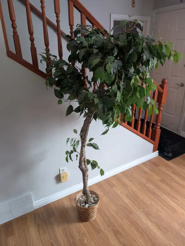 Tall Artificial Tree For Sale - Photo 2