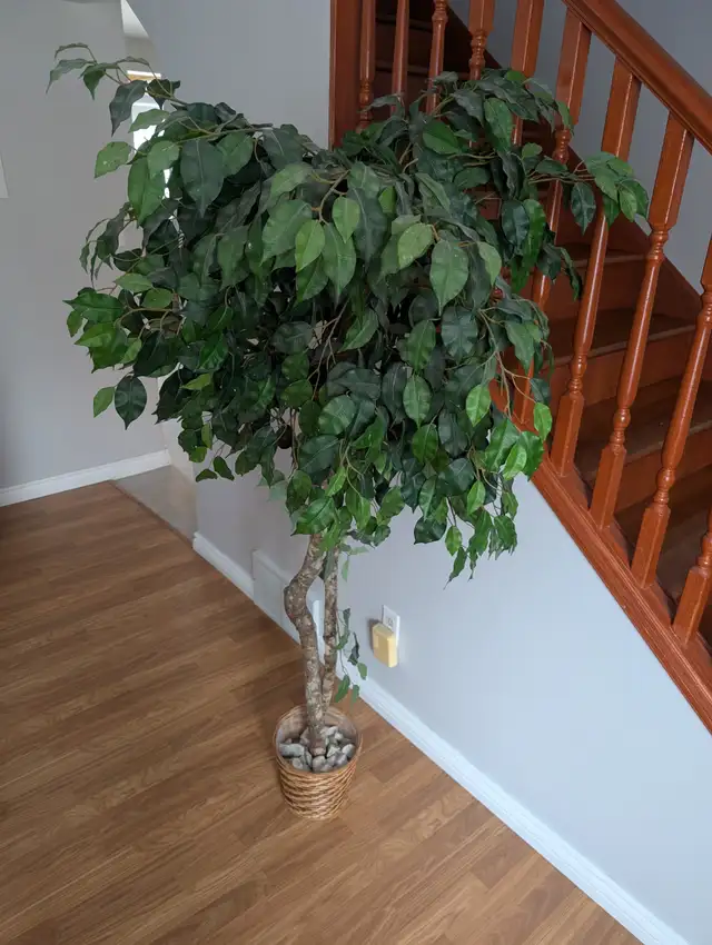 Tall Artificial Tree For Sale - Photo 3