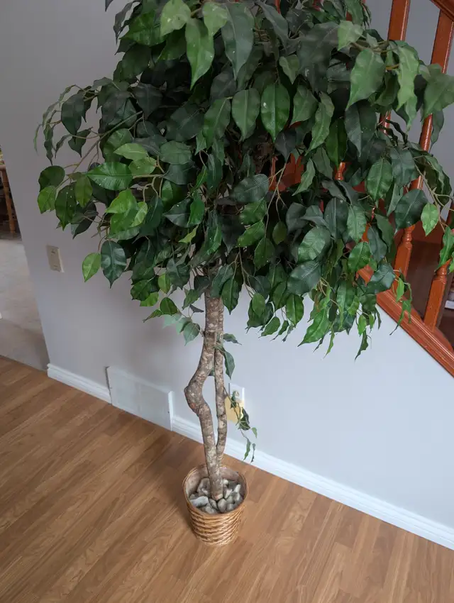 Tall Artificial Tree For Sale - Photo 4