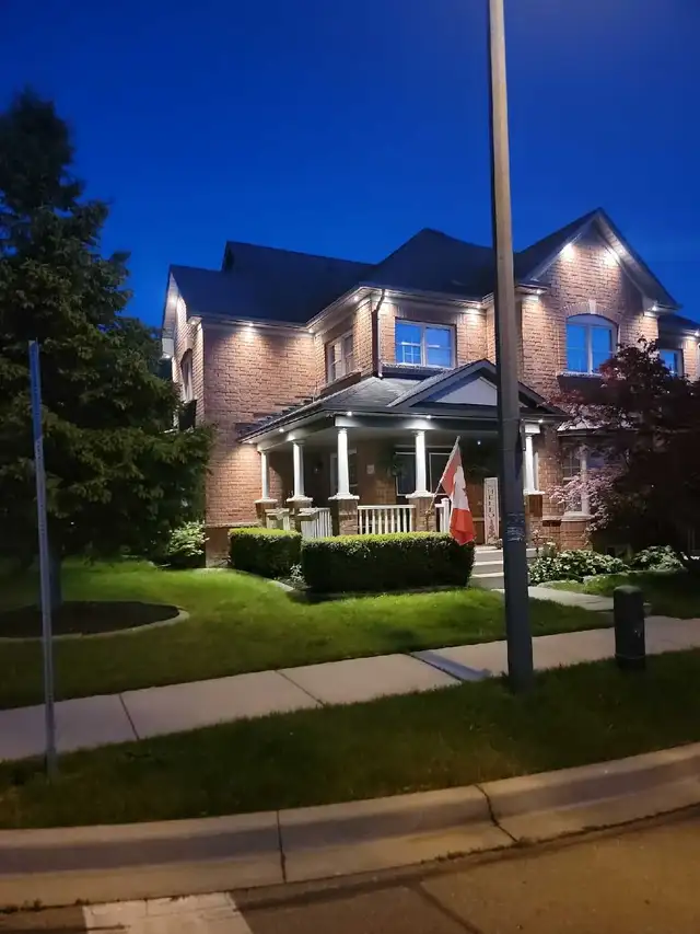 Potlight Special - Photo 2