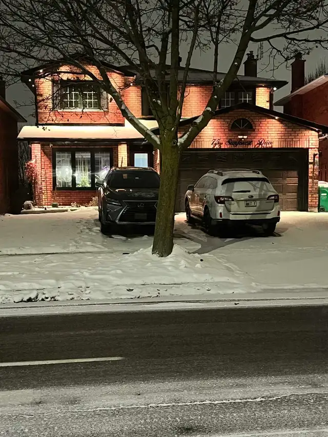 Potlight Special - Photo 6