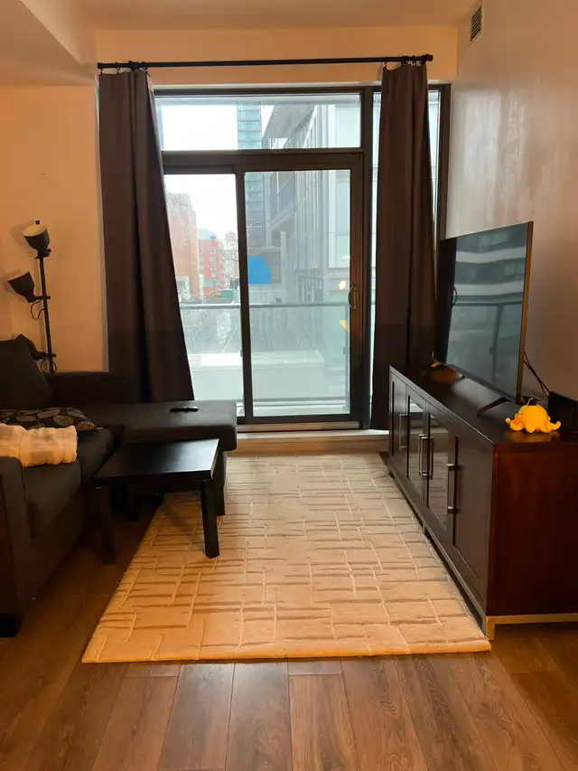 Furnished DT Master Bedroom for Rent (Dundas & Yonge) - Photo 10