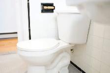 5117-16e Avenue - Photo 12