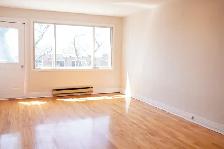 5117-16e Avenue - Photo 19