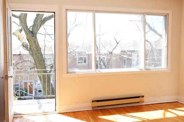 5117-16e Avenue - Photo 24