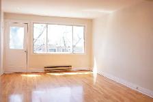 5117-16e Avenue - Photo 25