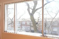 5117-16e Avenue - Photo 26