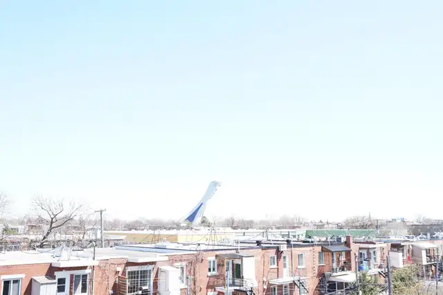 5117-16e Avenue - Photo 31