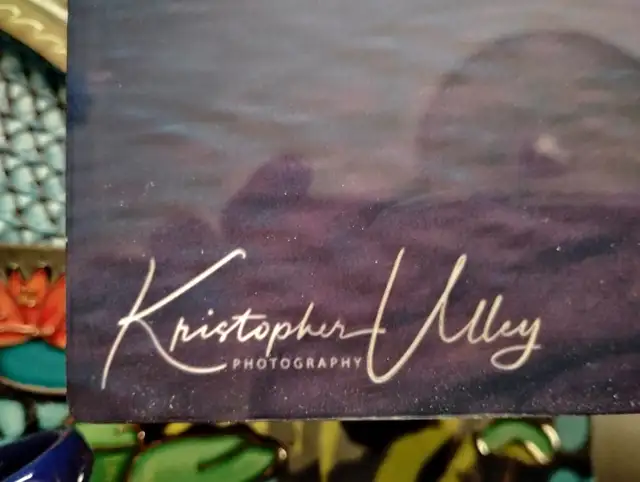 PHOTOGRAPHY  ART PiECE BY KRISTOPHER ULLEY - Photo 2