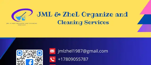 Professional cleaner