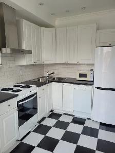 3 1/2 , une chambre -   6 électro inclus - Plateau Mont-Royal - Photo 8