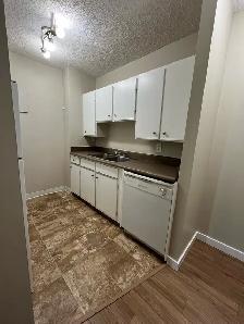 Dalhousie 2 bedroom apartment for rent.