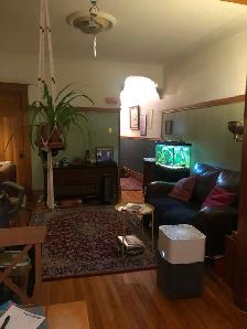 A louer 4 1/2  (Rosemont / Petite Patrie  Little Italy) - Photo 2