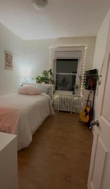 Private Room in a 4 bed / 1 bathroom apartment