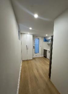 Newly Renovated 2 Bedroom in Roncesvalles/High Park - Photo 2