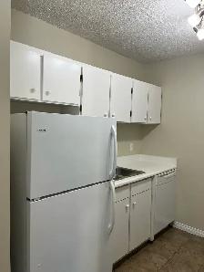 Dalhousie 2 bedroom apartment for rent.