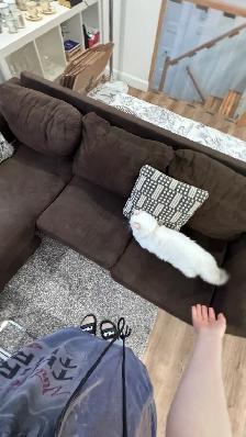 Brown Corduroy Sectional Sofa